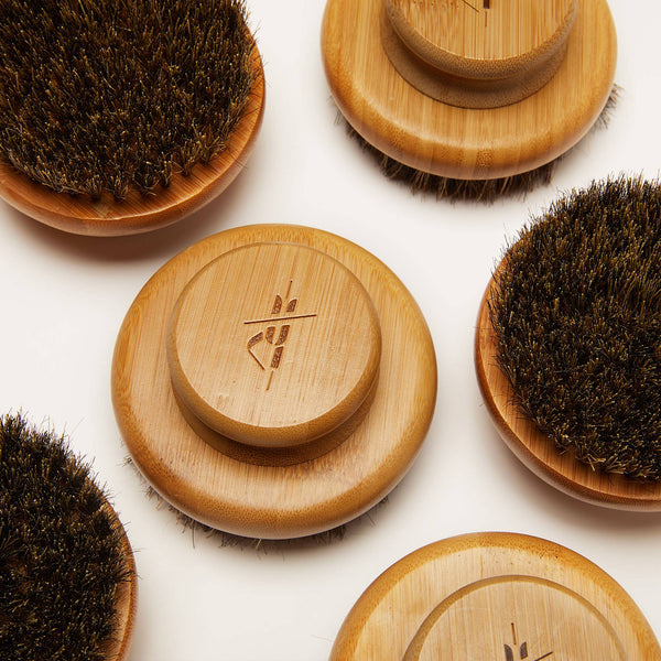 The Dry Brush - Bodega Nantucket