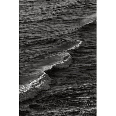 Just Swell - Bodega Nantucket