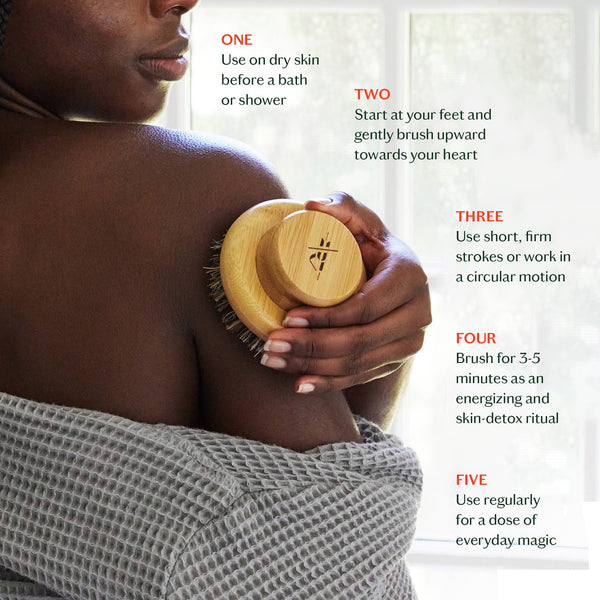 The Dry Brush - Bodega Nantucket