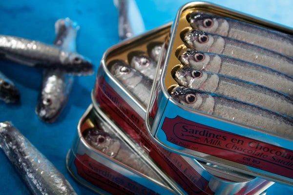 Chocolate Sardines, 5 - Bodega Nantucket