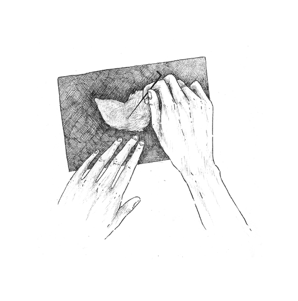 Needle Felting Kit - DIY - Whale - Bodega Nantucket