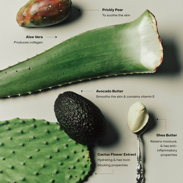 WIRED: The Body Exfoliant - Bodega Nantucket