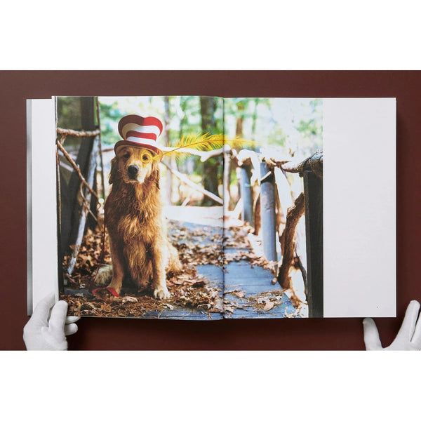 The Golden Retriever Photography Society - Bodega Nantucket