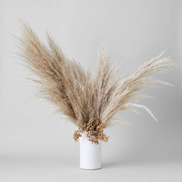 Dried Natural Canella - Bodega Nantucket