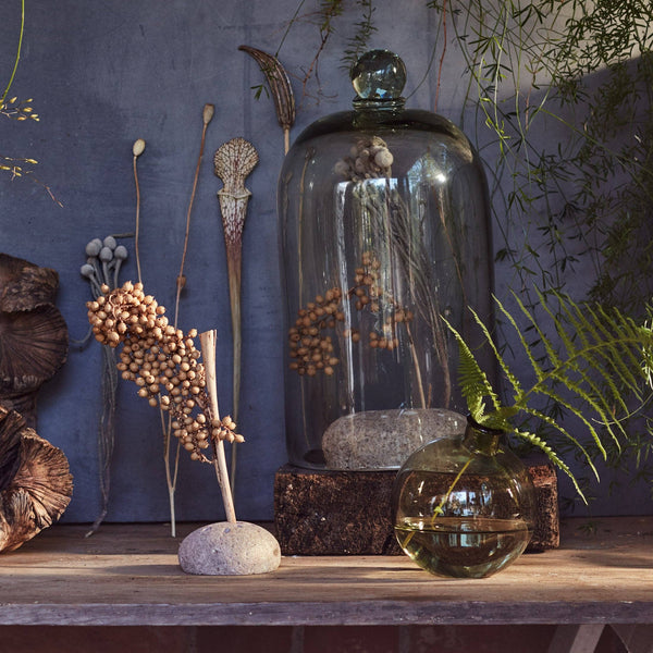 Dried Natural Canella - Bodega Nantucket