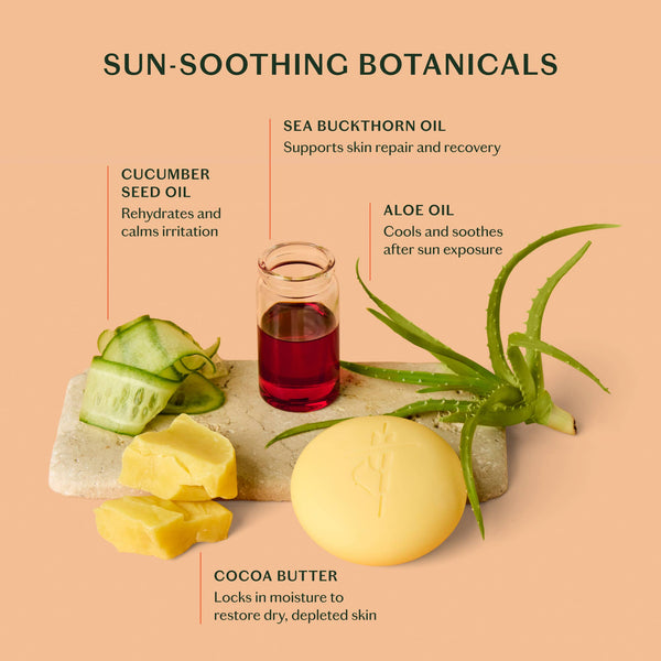 The Sun Stone | After Sun Balm & Lotion Bar - Bodega Nantucket