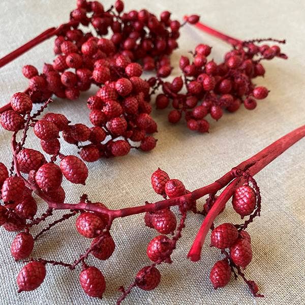 Dried Natural Red Canella Berry Stems - Bodega Nantucket