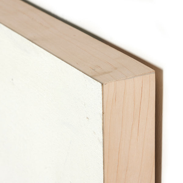 Donkey by Paul Meyers - Bodega Nantucket