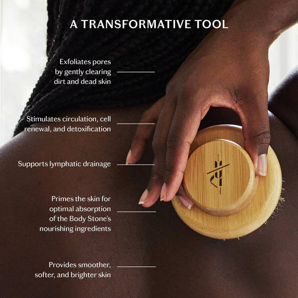 The Dry Brush - Bodega Nantucket