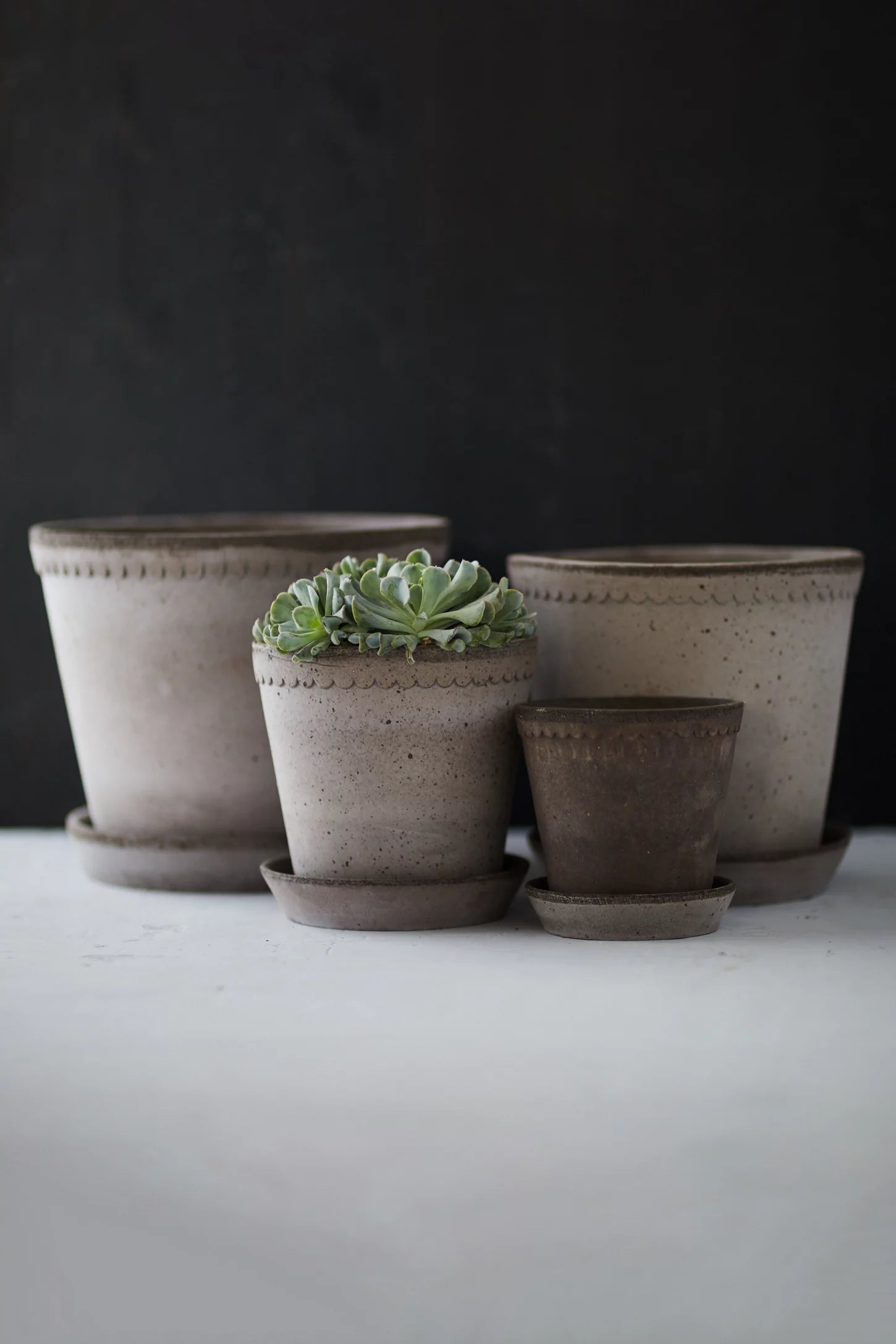 grey plant saucer Bergs Potter Copenhagen Pot 6" / 16cm / Grey