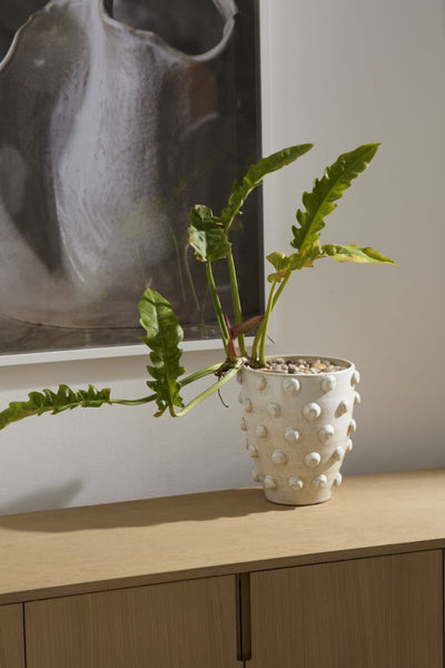 Hanover Pot - Bodega Nantucket