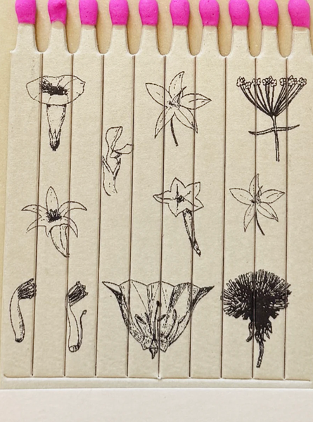 Garden Stories Candle - Bodega Nantucket