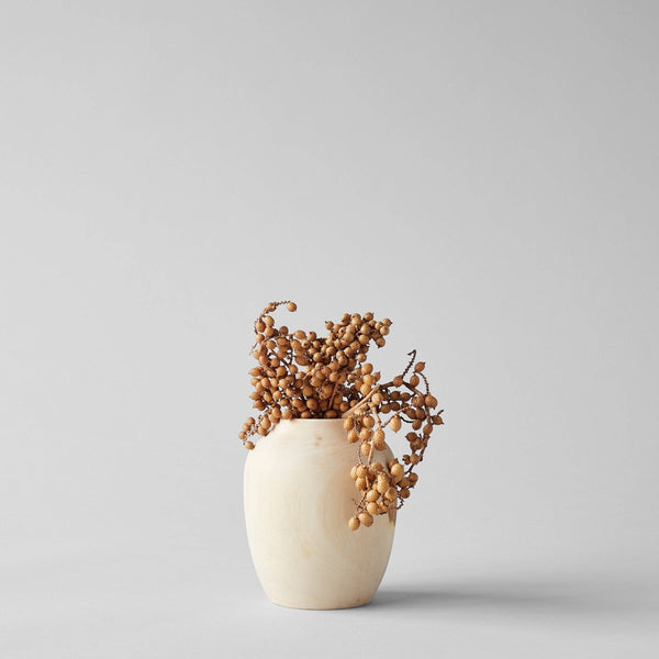 Dried Natural Canella - Bodega Nantucket