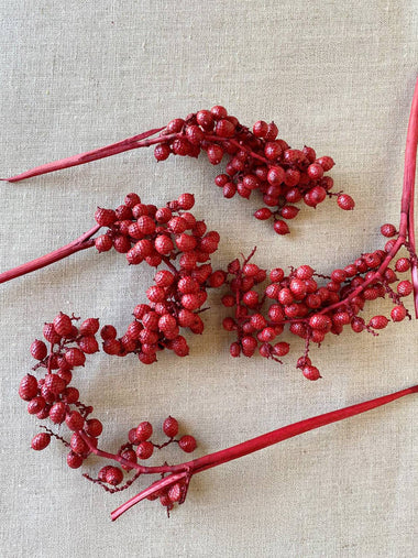 Dried Natural Red Canella Berry Stems - Bodega Nantucket