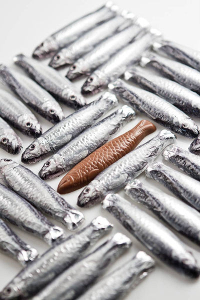 Sardines In A Net, 6 - Bodega Nantucket