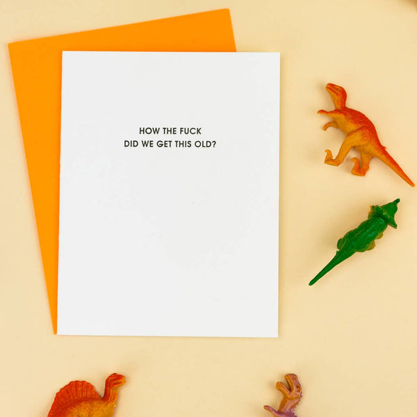 How The Fuck Did We Get This Old Funny Birthday Card - Bodega Nantucket