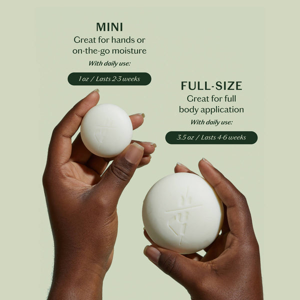 The Essential Collection Mini Sampler Set - Bodega Nantucket