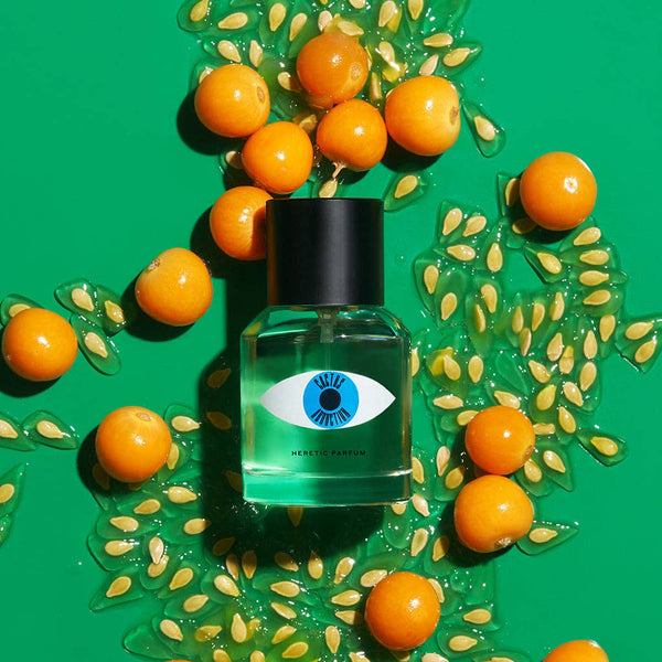 CACTUS ABDUCTION - Bodega Nantucket