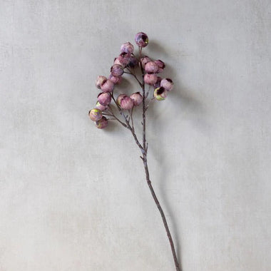 Hawthorn Berry - Bodega Nantucket