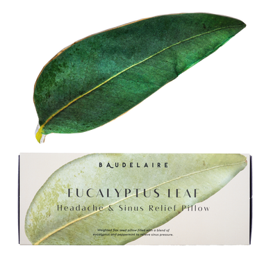 Eucalyptus Leaf Eye Pillow - Bodega Nantucket