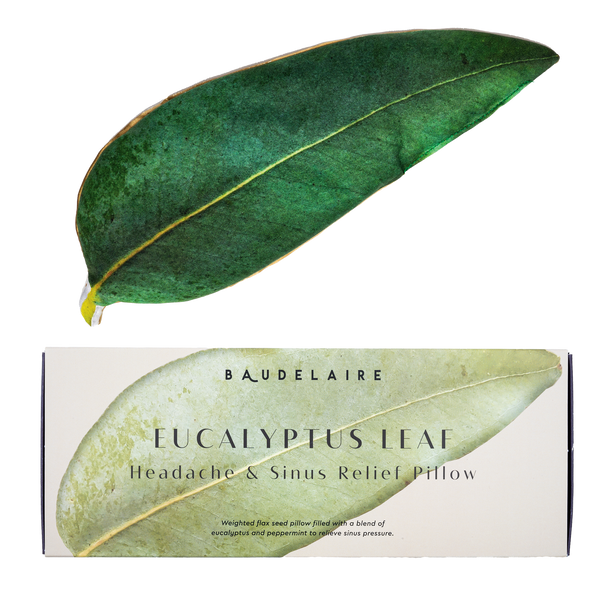 Eucalyptus Leaf Eye Pillow - Bodega Nantucket