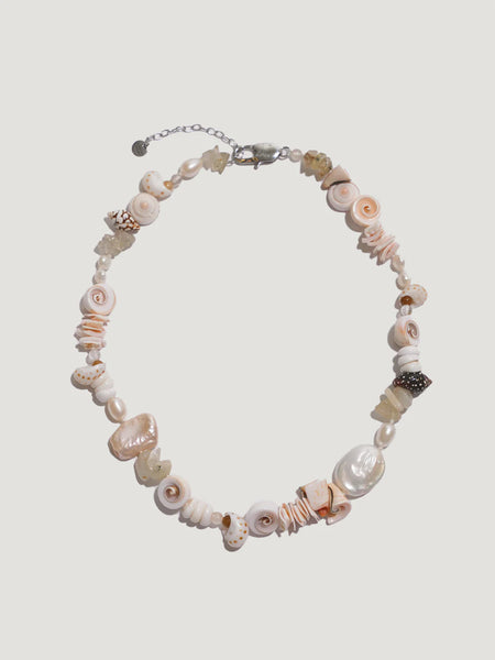 Seashells - Bodega Nantucket