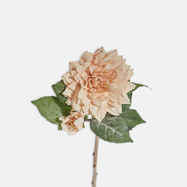 Dahlia Peach Stem - Bodega Nantucket