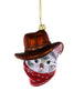 Cowboy Kitty