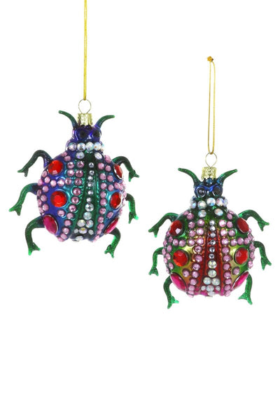 Jeweled Beetles