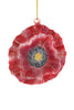 Wild Poppy