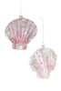 Scalloped Shells Assorted