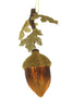 Oak & Acorn