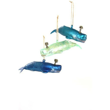 Blue Whale - Bodega Nantucket