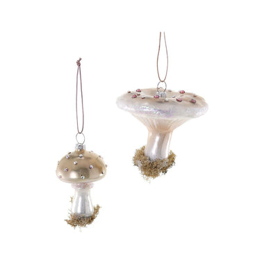 High Grove Mushroom - Bodega Nantucket