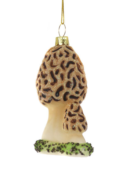 Morel Mushroom
