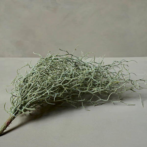 Grass Bush Stem - Bodega Nantucket