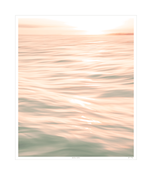 Golden Drift - Bodega Nantucket