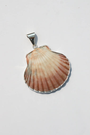 Shell Pendant #52