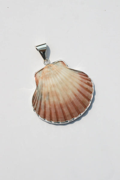 Shell Pendant #52