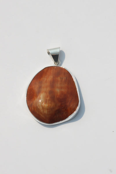 Shell Pendant #61
