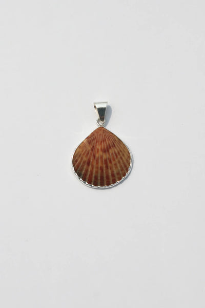 Shell Pendant #33