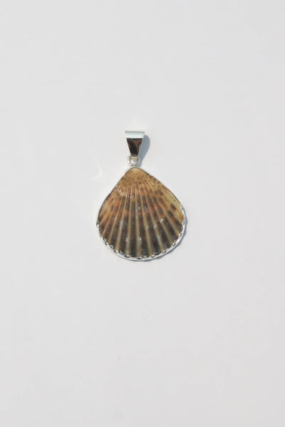 Shell Pendant #45