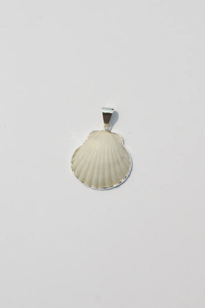 Shell Pendant #37