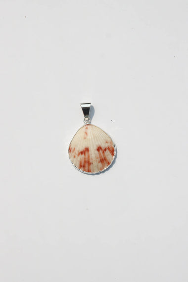 Shell Pendant #46