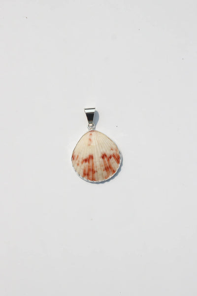 Shell Pendant #46