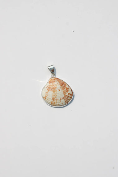 Shell Pendant #43