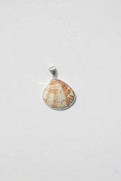 Shell Pendant #43