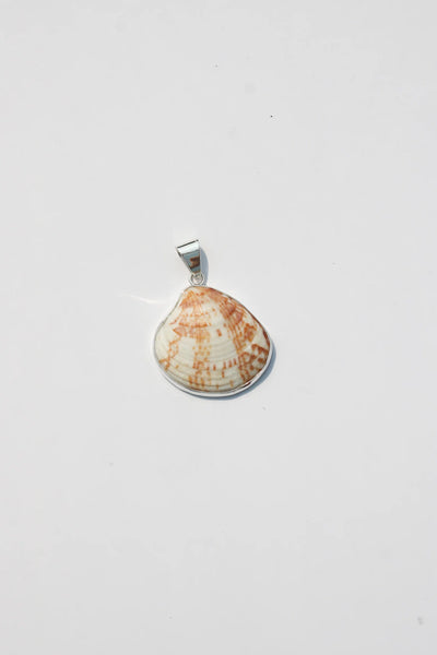 Shell Pendant #43