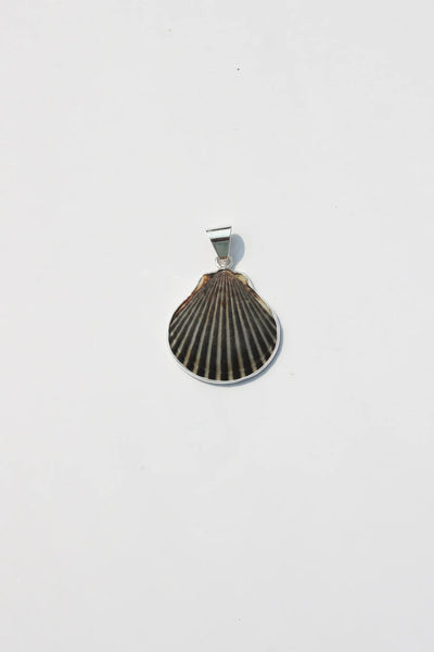 Shell Pendant #52