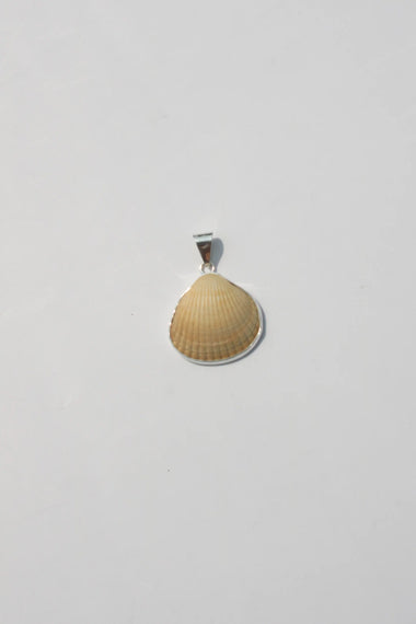 Shell Pendant #26